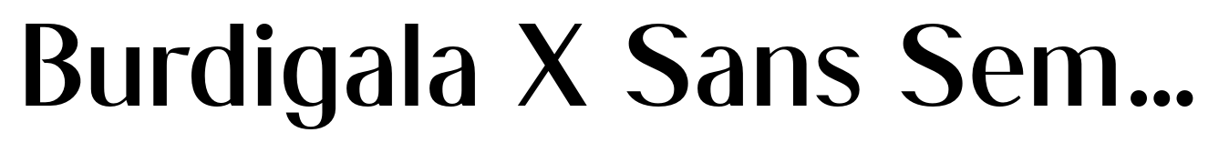 Burdigala X Sans Semi Bold
